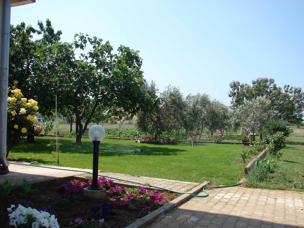Apartments Martin Zaton  Εξωτερικό φωτογραφία